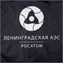 Дождевик со светоотражающими элементами Rainman Blink, ярко-синий 866218235
