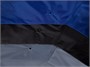 Дождевик-анорак R1, серый 619386906