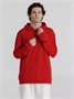 Толстовка с капюшоном унисекс Hoodie, красная 1336957066