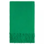 Шарф Flette, зеленый 1681529920