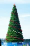 Green Trees Высокая Уличная Сосна Уральская 4.0 м. хвоя леска - СУ-400Л 1885190130