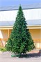 Green Trees Высокая Ель Рублевская 5.0 м. хвоя пленка - ЕР-500П 1555534897