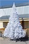 Green Trees Высокая Ель Рублевская Белая 6.0 м. хвоя пленка - ЕРБ-600П 638880678