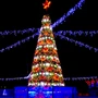 Green Trees Высокая Сосна Рублевская Белая 6.0 м. хвоя леска - СРБ-600Л 1318859635