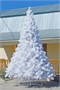 Green Trees Высокая Сосна Рублевская Белая 6.0 м. хвоя леска - СРБ-600Л 1318859635