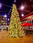 Green Trees Высотная Уличная Сосна Уральская 7.0 м. хвоя леска - СУ-700Л 1257482350