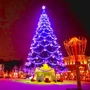 Green Trees Высотная Уличная Сосна Альпийская 9.0 м. хвоя леска - СА-900Л 1382368699