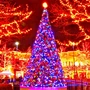 Green Trees Высотная Уличная Ель Уральская 27.0 м. хвоя пленка - ЕУ-2700П 669288377