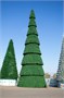 Green Trees Сегментная Сосна Сибирская 27 м. хвоя леска - ССС-27Л 1476706634