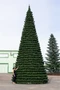 Green Trees Уличная Ель Испанская 28.0 м. хвоя пленка - КЕИ-28П 1919944432