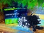 Гирлянда нить уличная 8м. 80 белых диодов статика, черный каучук, IP65 - XM109Hw CEIMAR 1752822885