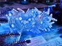 Гирлянда нить уличная 10м. 100 синих диодов с мерцанием, прозрачный силикон, 24V, IP65 - CMR 205-519Tbf CEIMAR 949805650