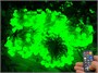 Гирлянда нить уличная 50 м. 400 диодов SMART RGB (шар 2,3 см.), пульт, белый каучук, IP65 - 50-Q525B CEIMAR 378982802