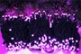 Гирлянда Нить Клип Лайт 30 м. 300 розовых диодов статика, пульт ДУ, черный каучук - GS-300-230V-BP IP65 ЕлкаСайт 692924324