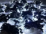 Светодиодный занавес уличный 3x2м. 600 белых диодов, статика, черный каучук, IP65 - CT3260Hw CEIMAR 431253411