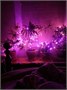 Гирлянда нить 20.0м. 300 розовых диодов, черный пвх - LN-300L-PI-BK LEON LED (LIGHT) 1160047920
