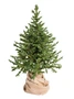 Green Trees Ель Датская Премиум 1.8 м. 1018467304