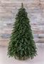 Triumph Tree Ель Царская 215 см. - 73641 1577554763