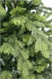 Beatrees Ель Emerald 2.1 м. - NP20GZ-BH70 623964988