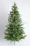 Green Trees Ель Нордман Премиум 2.1 м. 329789523