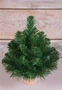 Triumph Tree Ель Норвежская 30 см. - 73389 1999309945