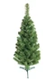 Green Trees Ель декоративная Бьюти Классик 0.6 м. 2001806750