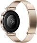 Смарт-часы HUAWEI Watch GT 6 41mm Золотой 5000778