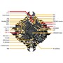 Полётный контроллер DarwinFPV ELRS2.0 F411 15A Bluejay AIO 740941565