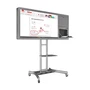 Интерактивная панель AxeTech Horizon Scan c документ-камерой 55" Medium 1831917066