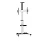 Мобильная напольная стойка Digis DSM-P64C для размера 34"-70" 1363387940