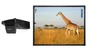 Интерактивный комплект 78" ActivBoard Touch 10 с УКФ проектором Promethean UST-P2 и креплением 2098496047