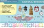 Учебно-образовательная коллекция "Знайка" «Математика 2 класс» часть 1. Числа до 100. Числа и величины. Арифметические действия) (Электронная версия) 859367117
