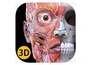 Анатомический 3D_атлас Systema, пакетная лицензия на 30 персональных учетных записей на 4 года 860251684