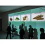 Программное обеспечение: Редактор интерактивных заданий «Методист» Interactive Project touch 917388319