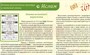 Учебно-образовательная коллекция "Знайка" «Основы религиозных культур и светской этики. Ислам» (USB-накопитель. Коробочная версия) 2132552613