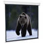 Экран настенный ScreenMedia SGM-4304 Goldview (4:3) 244x183 (236x175, MW) 1086323383