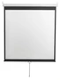 Экран настенный Digis DSOD-1104 Optimal-D (1:1) 186x189 (180x180, MW) 1273869903