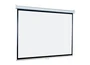 Экран настенный ScreenMedia SEM-4302 Economy (4:3) 171x128 (165x122, MW) 989691978