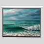 Экран с электроприводом ViewScreen Antis EAN-4305 (4:3) 610x460 (598x448 MW) (с пультом) 411079213