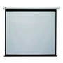 Экран с электроприводом Classic Solution SE Classic Lyra (4:3) 250x193 (E 243x182/3 MW-S0/W) 691968486