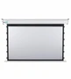 Экран с электроприводом Best Vision Large Tensioned (4:3) 250" (503x376, MW) 1720405635