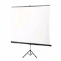 Экран на штативе 155x155 cm Braun Standard (white/silver с антибликовым покрытием) 1615833339