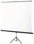 Экран на штативе 125х125 cм Braun Standard 1034078529