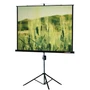 Экран на штативе Lumien Master View LMV-100113 (4:3) 220x165 (214х159, MW) 669666813