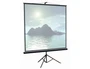 Экран на штативе ScreenMedia STM-1104 Apollo-T (1:1) 213х213 (205x205, MW) 1813547789