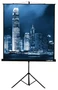 Экран на штативе Lumien Master View LMV-100104 (1:1) 213x213 (MW FG) 987439019