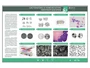 Электрифицированный стенд "Систематика и номенклатура микроорганизмов" Zarnitza 1643992361