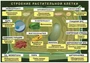 Светящиеся колеса передние 120 мм (2 шт.) 120х30 мм под модель Maxi Зеленые (Хаки) 2141176055