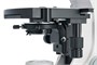 Цифровой микроскоп Levenhuk D900T 1911014447