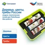 Модуль "Деревья, цветы, грибы России" Learning Resources MS0102/1 960749628